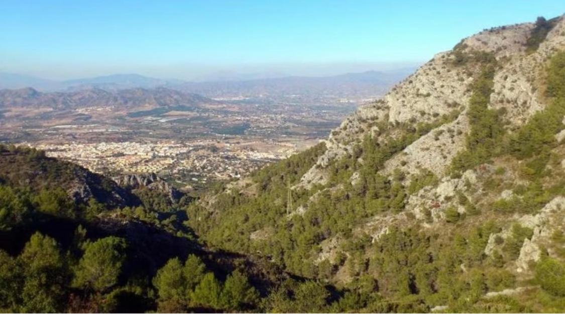 Apartamento Biznaga Alhaurín de la Torre Exterior foto